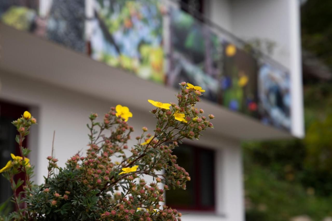 UrlaubsREICH Apartment Arbesbach Exterior foto